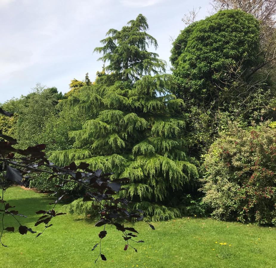 Ashtree House Hotel, Glasgow Airport & Paisley Eksteriør bilde